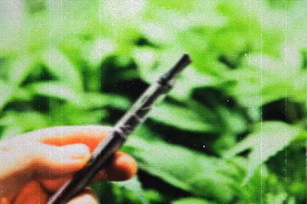 20% OFF - EVERY ORDER