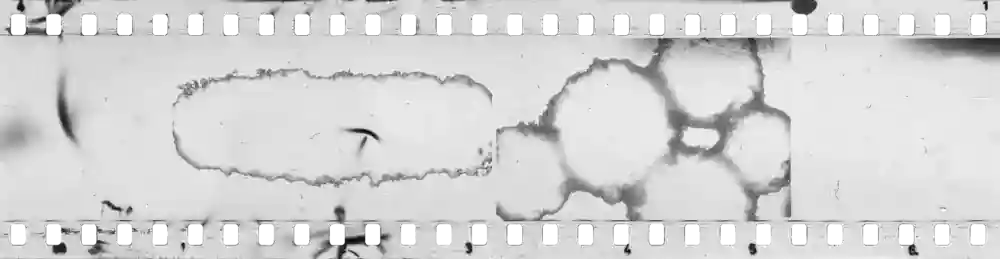 AdobeStock 832695485 (1) (1) (1) (1)